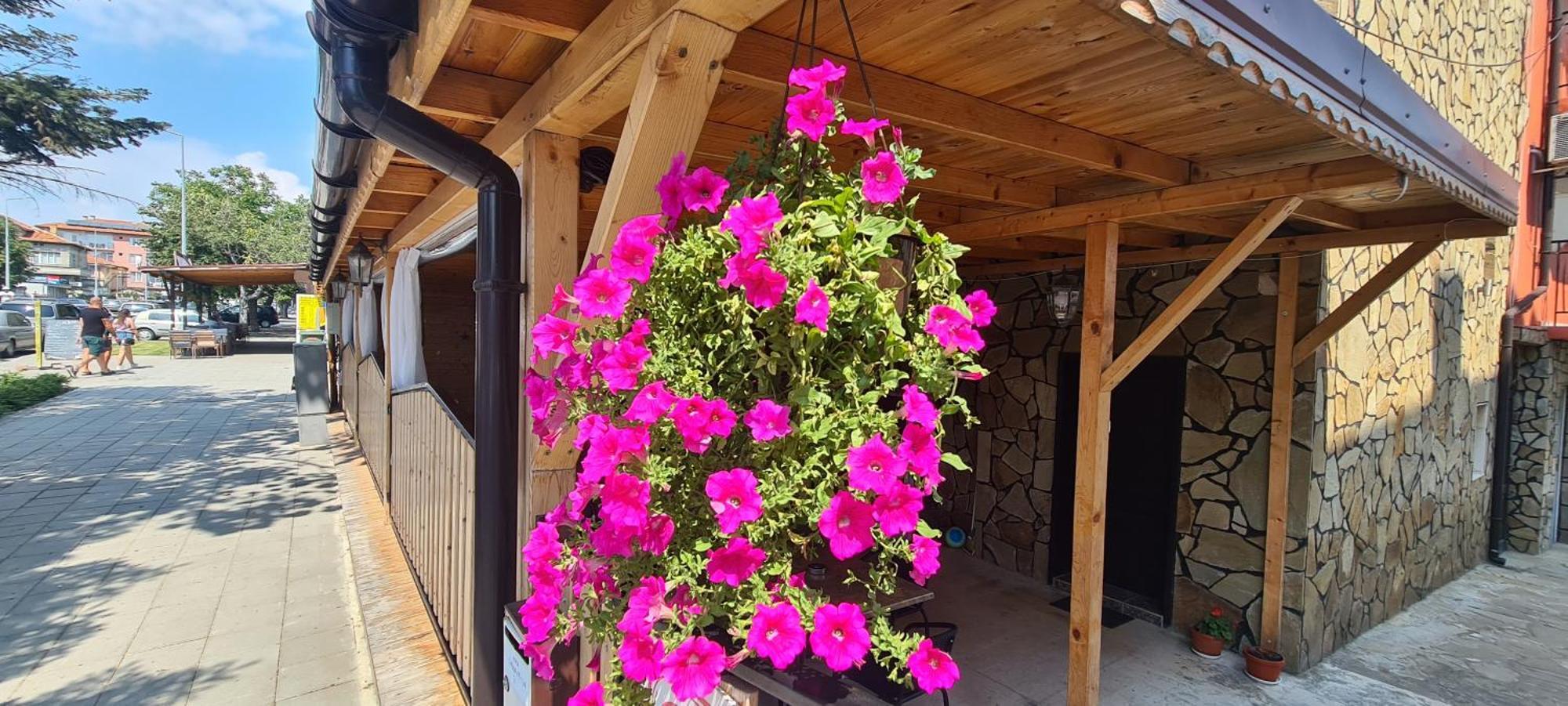 Sineva Guest House Ravda ภายนอก รูปภาพ