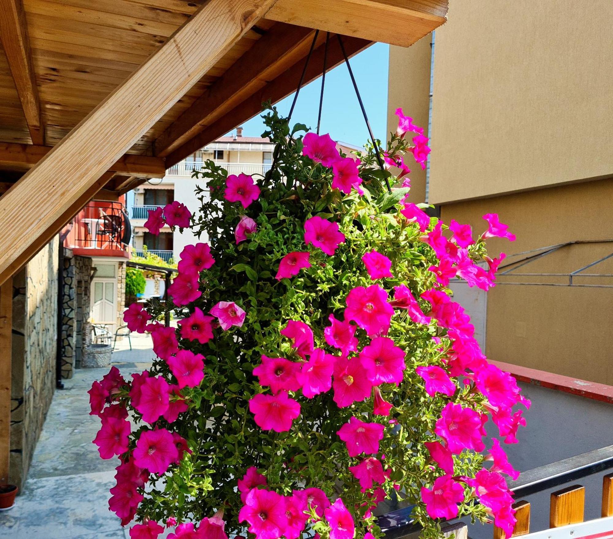 Sineva Guest House Ravda ภายนอก รูปภาพ
